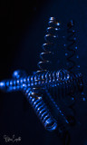 A09I3048.jpg