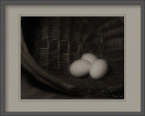 still_life