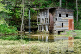 Falling Spring Mill 1 - Van Buren, MO