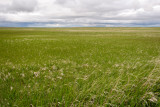 Prairie Land