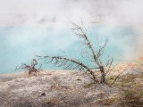 Simmering in Yellowstone