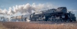 Union Pacific Big Boy 4014