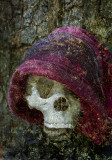 The Skeleton