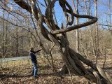 Photographer in the vines