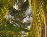 pb0114180721a.jpg