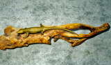 FB05301059.jpg