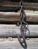 pb03-31-05-21xas.jpg