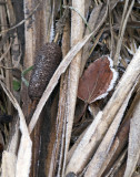 pb11-11-09-07.jpg