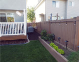 Back Yard5.JPG