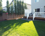 Back Yard6.JPG