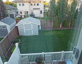 Back Yard12.JPG