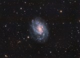 NGC300_HaLRGB.jpg