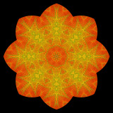 Evolved kaleidoscope created with an autumn leaf in October