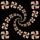 Spiral arrangement created with four arms with 13 copies of the quadruple flower in each arm