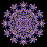 Evolved kaleidoscope created with a wild salvia flower