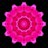 Kaleidoscope created with a flower seen in front of the house