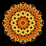 Evolved kaleidoscope created with autumn leaves