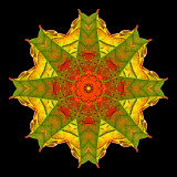 Kaleidoscope created with a colored leaf seen at the forest in October