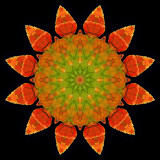 Kaleidoscope created with a colored leaf seen at the forest in October