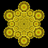 Evolved spiral kaleidoscope created with a yellow leaf seen at the forest in October