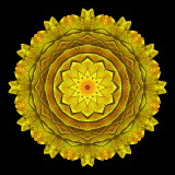 Kaleidoscope created with a yellow leaf seen at the forest in October