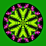 Kaleidoscope with background changed to non-black to get a better look when printed on a greeting card