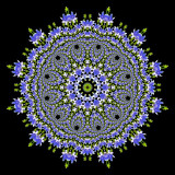 Evolved kaleidoscope created with a wild flower seen in summer