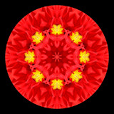 Kaleidoscope created with a dahlia seen in Locarno in September