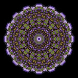 Kaleidoscopic picture created with a wildflower seen in October