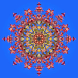 Kaleidoscope created with part of a tree with colored leaves in October