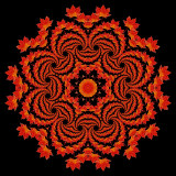 Evolved kaleidoscope created with an autumn leaf