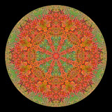 Kaleidoscope created with autumn leaves at a parc near the castle