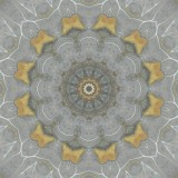 Kaleidoscopic picture created with an ice patch seen on an upaved path