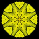 Kaleidoscopic picture created with a leaf seen in December in the forest