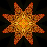 Kaleidoscopic picture created with a leaf seen in December in the forest