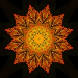 Kaleidoscopic picture created with a leaf seen in December in the forest