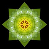 Kaleidoscopic picture created with a leaf with small patches of snow seen in the forest