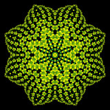 Evolved kaleidoscope created with a small yellow wildflower seen in May