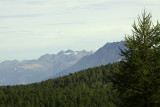 Alpine Landscape