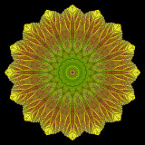 Kaleidoscopic picture created with an autumn leaf seen in October