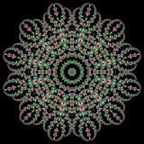 Evolved kaleidoscope created with a wildflower seen in October