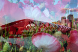 Lois DeEll<br>2020 April Evening Favourites<br>Theme: Multiple Exposure<br>The Poppies Grow <br>2nd