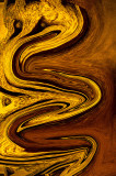Martha Aguero<br>Jan. 2021 Evening Favourites<br>Theme: Abstract<br>The Fox - 1st Place