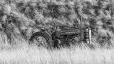 Kim Adzich<br>2021 CAPA Monochrome<br>Old Deere