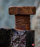 Lois DeEll<br>Cowichan Close-Up<br>2021 March<br>Rusty Bolt Study