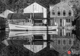 Lois DeEll<br>Cowichan Valley Marinas<br>April 2021<br>Morning Reflections