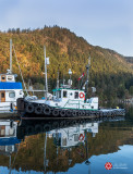 Lois DeEll<br>Cowichan Valley Marinas<br>April 2021<br>My Name Is Reliable