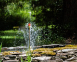 Carl Erland<br>Water Landscapes - 2021<br> Fountain Fast