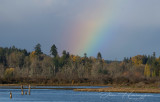 Jan Heerwagen<br>November 2021<br>Rainbow Over Estuary