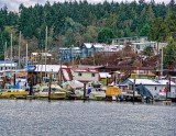 Ed Taje<br>Cowichan Bay<br>January 2022<br>Cowichan Bay from the Park